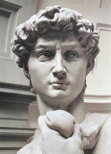 Head Of David By Michelangelo By Carl Purcell Michelangelo Sculpture