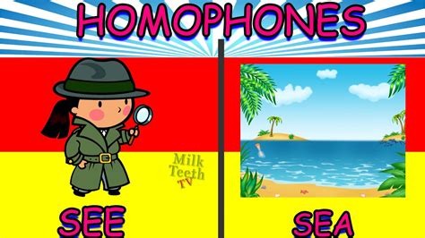 Homophones In English Grammer Basic Homophones List For Class 1 Kids