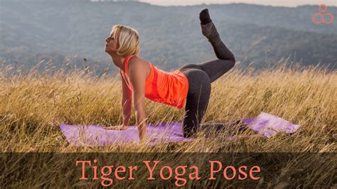 The Complete Guide To The Tiger Yoga Pose Vyaghrasana
