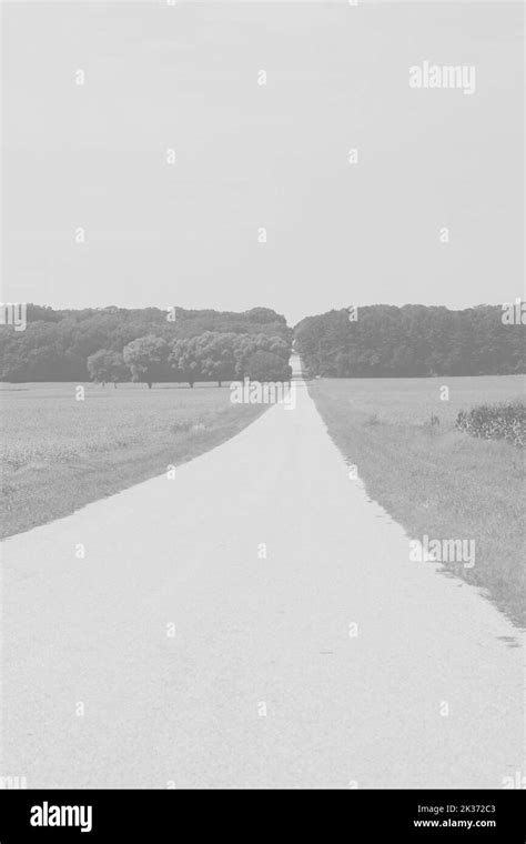 A Rural Country Road Going Straight Into The Horizon In A Faded Black