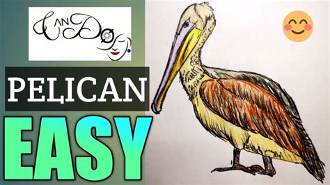 How To Draw A Pelican Step By Step For Beginners Easy Pelican Drawing