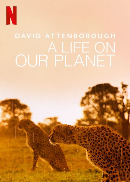 Is David Attenborough A Life On Our Planet Available To Watch On