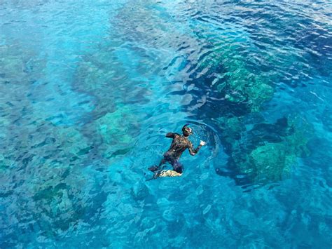 5 Oahu Snorkeling Spots To Try On Your Next Vacation Hawaii Tours