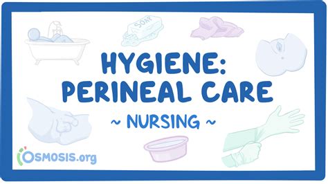 Hygiene Perineal Care Nursing Skills Osmosis Video Library