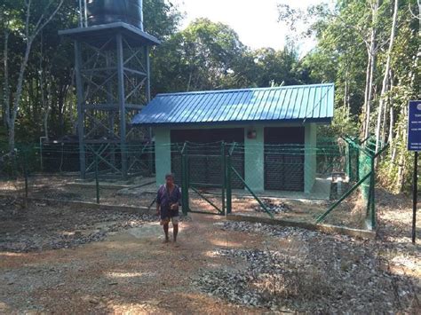 Penggunaan dan pengurusan pam air secara tepat untuk mengairi tanaman. Kontraktor lewat, Orang Asli terputus bekalan air | Harian ...