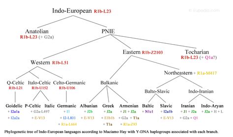 My Proposed Tree Of Indo European Languages