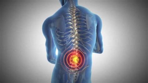 How To Strengthen Your Spine To Combat Back Pain Keep Healthy Living