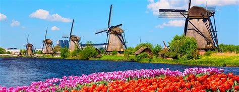 Keukenhof can be reached within half an hour tulips from holland are world famous. Floral Holland in the Spring | Fred. Olsen River Cruises