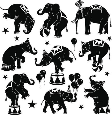 Elephants Circus Elephant Elephant Illustration Circus Illustration
