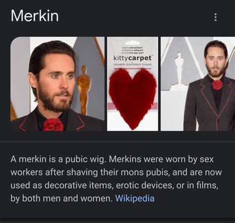 Mierkin Amerkin Is A Pubic Wig Merkins Were Worn By Sex Workers After Shaving Their Mons Pubis