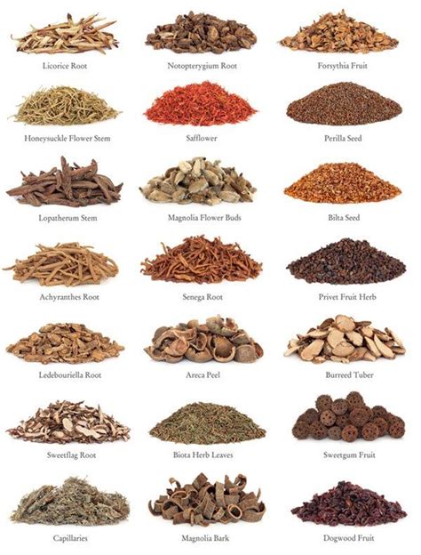 Common Chinese Medicinal Herbs Herbs Chinese Herbs Chinese