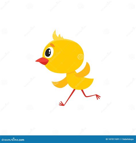 Vector Cartoon Cute Chick Character Running Stock Vector Illustration Of Cute Graphic 107011691