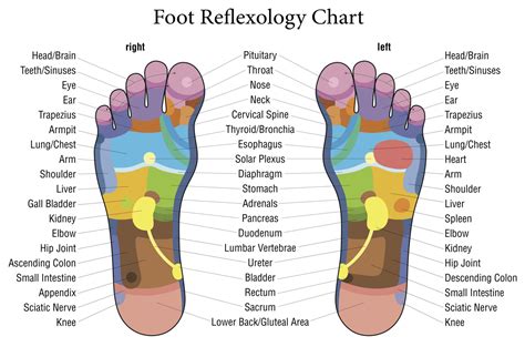 All About Reflexology The Beauty Academy