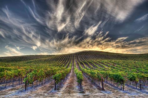 Your Napa Valley Winery Guide Part Two Wine Enthusiast Magazine