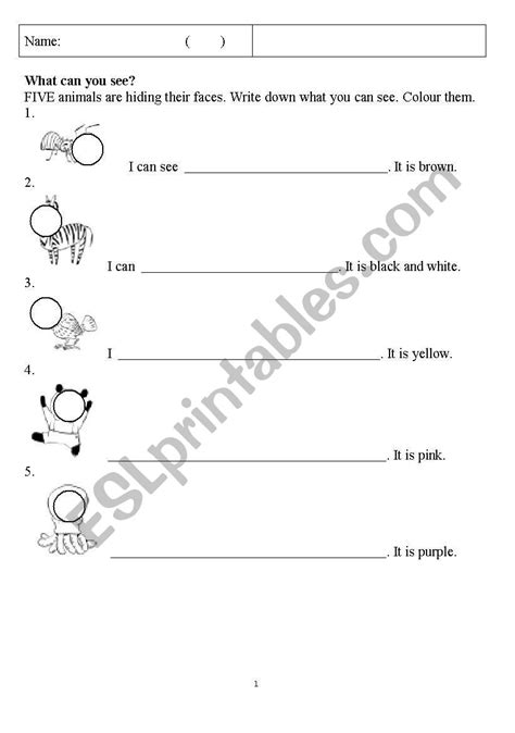 English Worksheets What Can You See