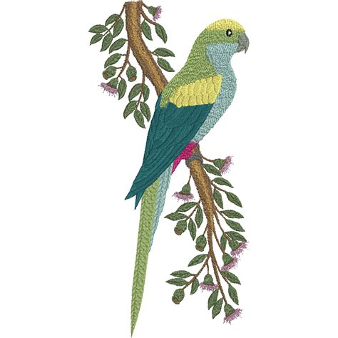 Machine Embroidery Design Golden Shouldered Parrot Avec Images
