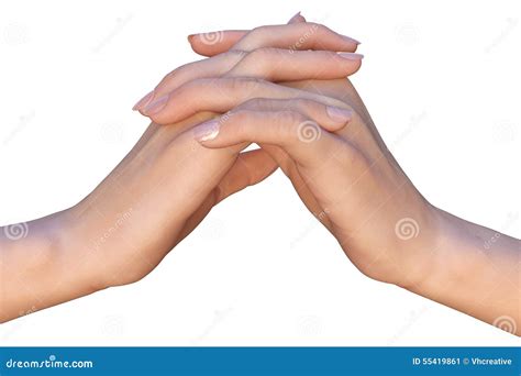 Two Hands With Interlaced Fingers Stock Image Image Of Isolated Palms