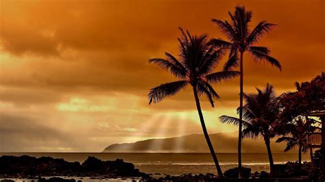Waikiki Sunset Wallpapers Top Free Waikiki Sunset Backgrounds