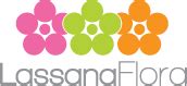 Kandyan poruwa designs traditional poruwa designs sinhala wedding poruwa lassana flora poruwa designs wedding poruwa prices traditional wedding poruwa wedding settee back poruwa decorations. Lassana Flora (Pvt) Ltd - Wedding Detail