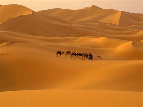 World Visits Sahara Desert World Largest Hot Desert