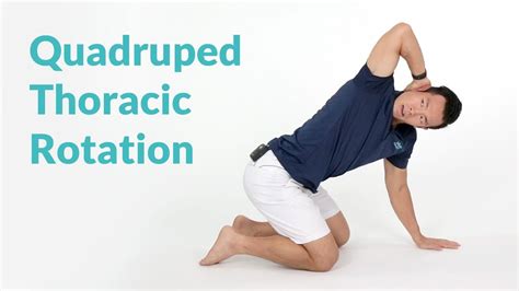 Quadruped Thoracic Rotation For Spine Mobility Youtube