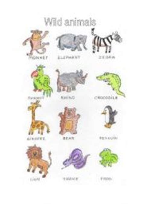 Wild animals worksheets