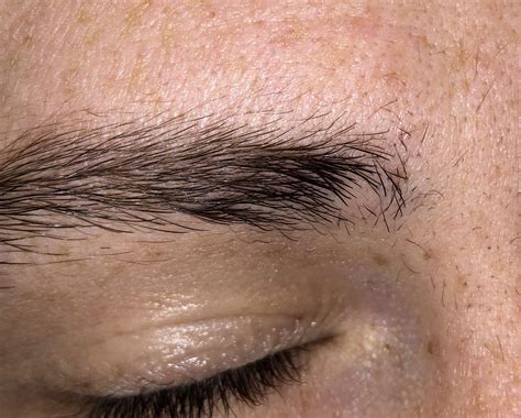 How To Fill In Bald Spots In Eyebrows Eyebrowshaper