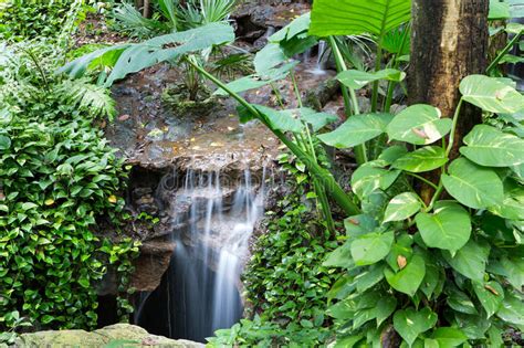 Peaceful Rainforest Waterfall Stock Photo Image Of Cascade Nature