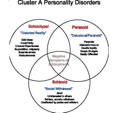 The Loner Disorder Overview Of Schizotypal Personality Disorder