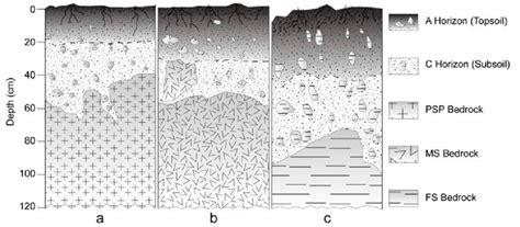 Schematic Sketch Of Soil Profiles Developed On A Psp B Ms C