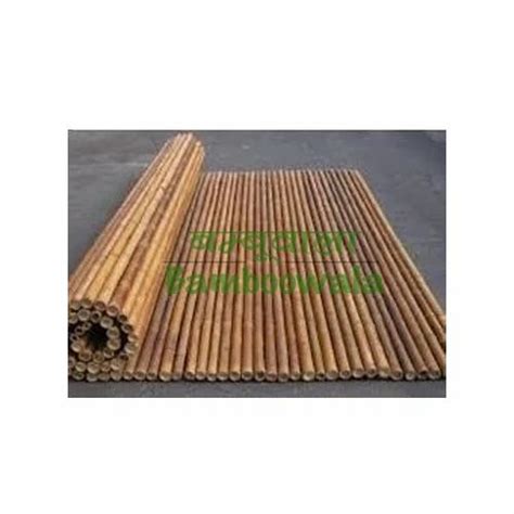 Rolled Full Bamboo Fence At Rs 100square Feet Bamboo Fence In