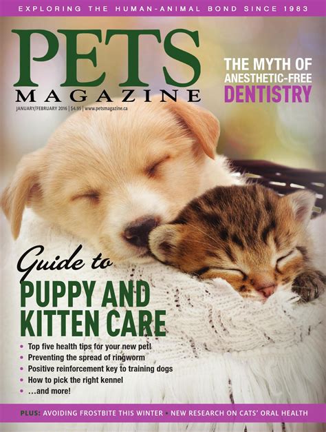 Pets Magazine Januaryfebruary 2016 By Markintoshdesign Issuu