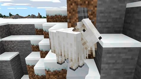 How To Get The Whatever Floats Your Goat Achievement In Minecraft Gamepur