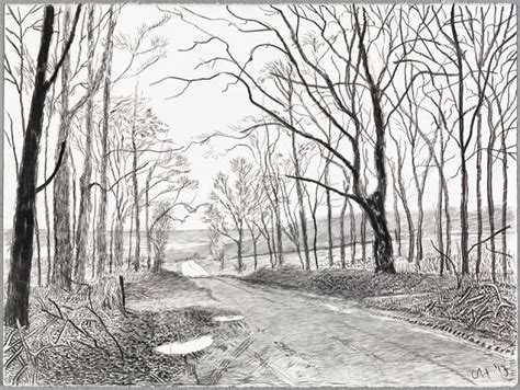 David Hockney Drawings Landscape Vella Mcclellan