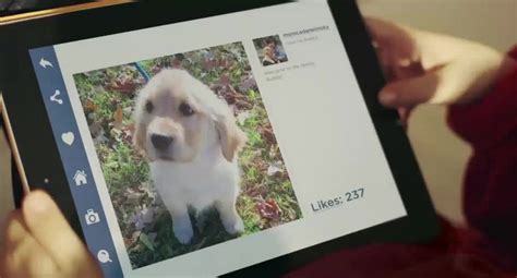 Toronto Humane Society introduces Puppy Swap program! - Mike's Bloggity ...