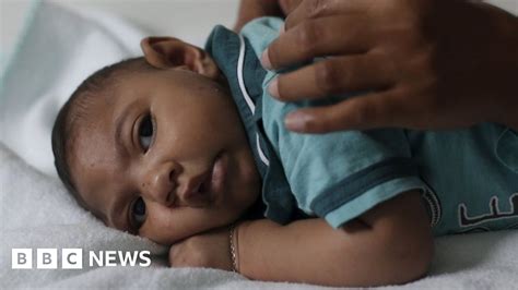 Zika Virus Work Begins On Vaccine For Pregnant Women Bbc News