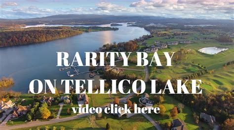 Rarity Bay On Tellico Lake Lakefront Listings