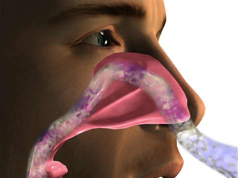 Reasons You May Have A Bad Smell In The Nose Pinnacle Ent Blog