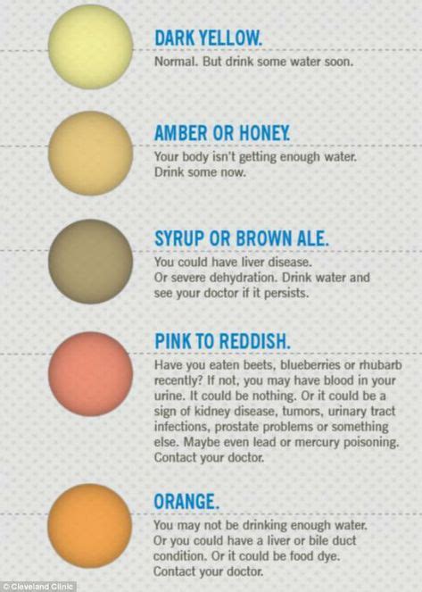 Image Result For Stool Color Chart Color Of Urine Stool Color Chart