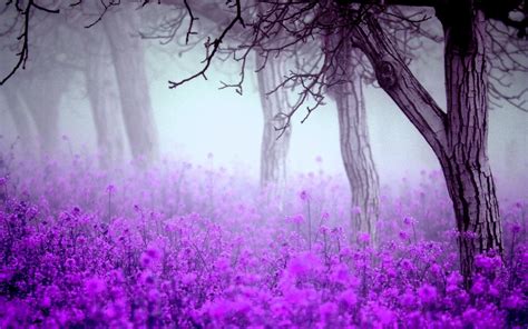 Purple Flower Desktop Wallpapers Bigbeamng