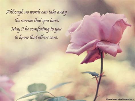 Sympathy Quotes Hd Wallpapers Plus