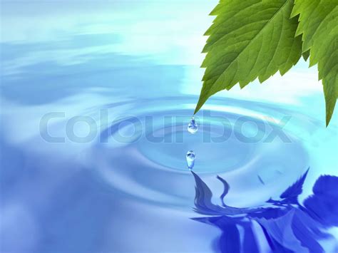 Drop Fall From Leaf On Ripple Water Stock Image Colourbox