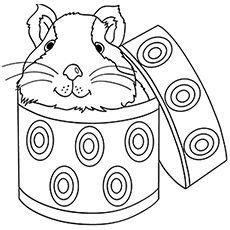 Kawaii animal drawing tutorial lesson. Realistic Cute Guinea Pig Coloring Pages - Super Kins Author