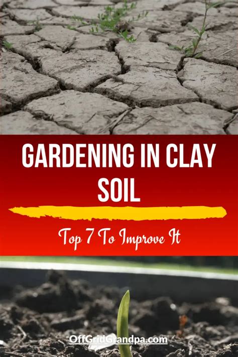Gardening In Clay Soil Top 7 Tips To Improve It Off Grid Grandpa