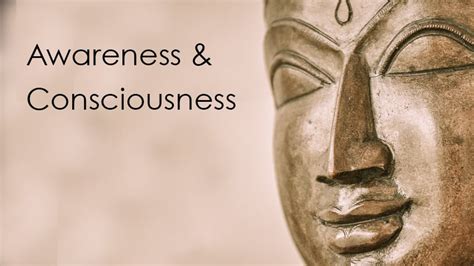Awareness Vs Consciousness Dandapani