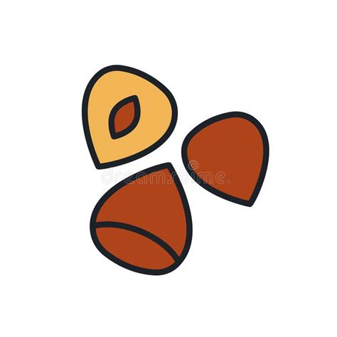 Hazelnut Icon Linear Color Icon Of Nuts Contour Shape Outline