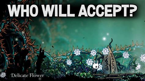 Who Will Accept The Delicate Flower In Hollow Knight Youtube