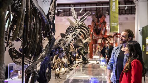 Night Owls: An autism and sensory-friendly night out for adults - The