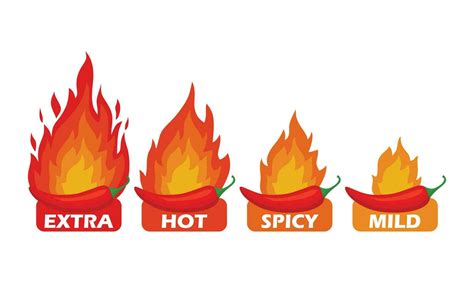 Spicy Chili Pepper Hot Fire Flame Icons Extra Hot Spciy Mild