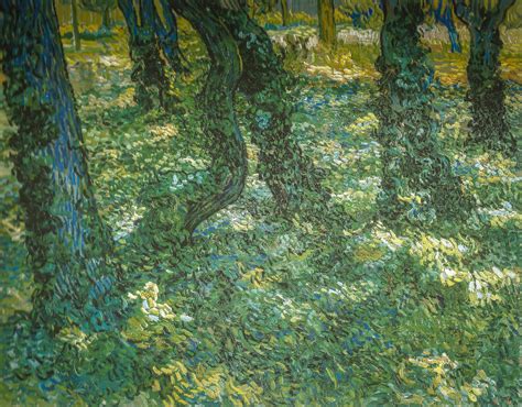 Vincent Van Gogh Undergrowth 1889 At Van Gogh Museum Am Flickr